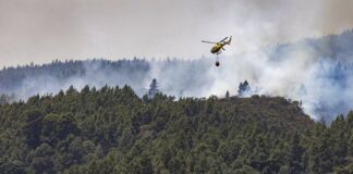 Se declara el nivel 2 del incendio de Tenerife y asume las labores el Gobierno de Canarias