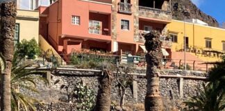Iniciativa por La Gomera (IxLG) señala el preocupante deterioro que muestra el palmeral de Las Orijamas