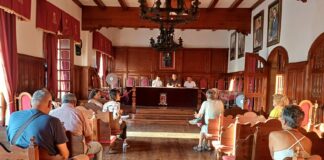 El Ayuntamiento de San Sebastián de La Gomera y la plataforma Salvar los Árboles celebran su primera reunión de coordinación