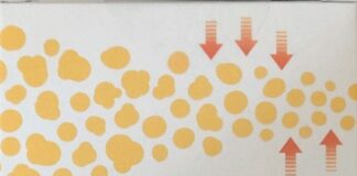 Suplementos para Adelgazar de Mercadona, ¿funcionan?