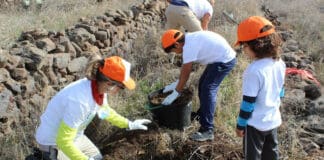 La Gomera presenta el programa de actividades para celebrar el Día del Árbol