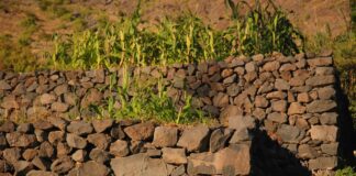 El Banco Insular de Tierras intensifica su actividad tras cinco meses de funcionamiento