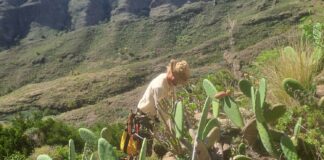 El Cabildo ejecuta trabajos para el control de especies exóticas invasoras