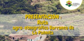 Agulo acoge una ruta agro-etnográfica en el Barranco de La Palmita