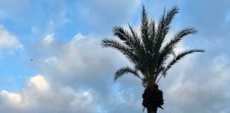 Cielos nubosos y posibles lluvias este sábado en Canarias
