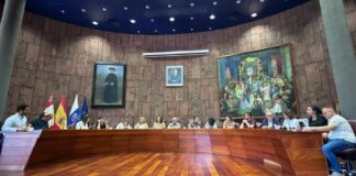 El Pleno del Cabildo aprueba una declaración institucional en defensa del pueblo palestino