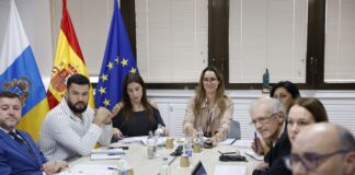 El Gobierno culmina las transferencias a cabildos y ayuntamientos para financiar el transporte público regular de viajeros