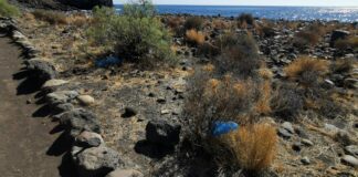 El PSOE pide al Cabildo mayor cuidado en los trabajos con residuos en el Complejo Ambiental del Revolcadero