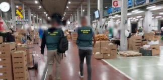 Intervenidas casi diez toneladas de fruta y verdura comercializada ilegalmente en Tenerife