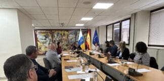 El Gobierno no exigirá a los cabildos la justificación de un mínimo de viajes para recibir la financiación al transporte