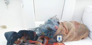 Inspección Pesquera intercepta en Tenerife y en La Gomera la descarga ilegal de 10,2 y 30 kilos de pescado