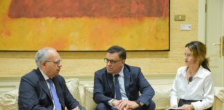 Manuel Miranda pide la colaboración de los cabildos para revisar la Ley del Suelo