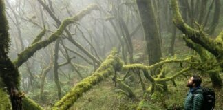 Bajada de las temperaturas en Canarias este martes