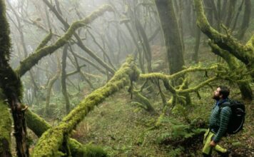 Cielos nubosos y alisios este último lunes de julio en Canarias