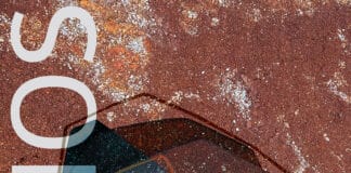 La Sala de Exposiciones del Cabildo acoge la muestra de cuadros y esculturas POLINOS: “Geometría Orgánica”