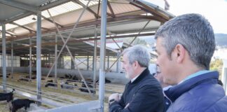 Clavijo anuncia ayudas de 100.000 euros para jóvenes que quieran poner en marcha una empresa agraria