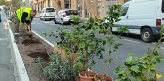 El Ayuntamiento de San Sebastián apuesta por especies nativas y ornamentales para renovar las zonas ajardinadas