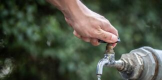 La Gomera conmemora el Día del Agua con una jornada dedicada a analizar los retos y soluciones para su gestión