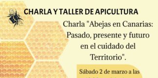 Jornadas dedicadas a la apicultura este fin de semana en Hermigua