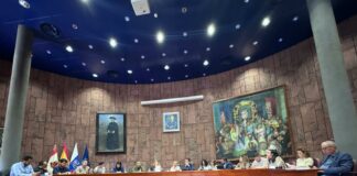 El Cabildo de La Gomera muestra su apoyo a los pacientes afectados por el covid persistente en Canarias