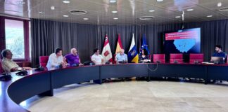 Cabildo y sector del taxi avanzan en la regulación de áreas sensibles y la activación de nuevos incentivos