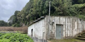 El Cabildo de La Gomera licita los trabajos de ampliación y mejora del vivero de El Cedro