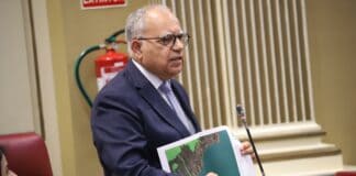 Curbelo: “La única solución al problema de Los Cristianos es el Puerto de Fonsalía”