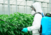 El Cabildo de La Gomera oferta nuevos cursos de manipulador de productos fitosanitarios de nivel básico