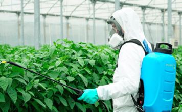 Los Grupos Parlamentarios CC, PP, ASG y Mixto impulsan una iniciativa en defensa de los agricultores canarios ante la crisis fitosanitaria y las plagas en los cultivos