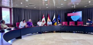 El Cabildo aprueba las bases de los nuevos incentivos para el sector del taxi en La Gomera