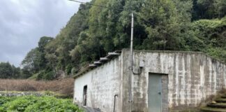 El Cabildo de La Gomera adjudica los trabajos de ampliación y mejora del vivero de El Cedro