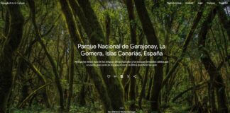 La Gomera protagoniza un reportaje de la colección oficial de la UNESCO en la plataforma Google Arts & Culture