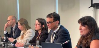 Canarias expone ante las islas europeas sus planes para avanzar en la descarbonización