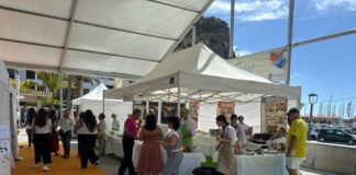 El Ayuntamiento de San Sebastián de La Gomera celebra la III Feria de la Salud