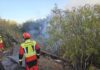 ASG apuesta por la prevención contra incendios durante todo el año para proteger el territorio y la economía canaria