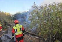 ASG apuesta por la prevención contra incendios durante todo el año para proteger el territorio y la economía canaria