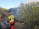 ASG apuesta por la prevención contra incendios durante todo el año para proteger el territorio y la economía canaria