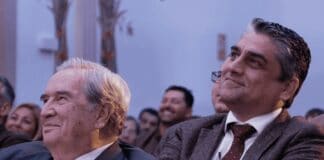 La política profesional