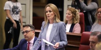 El PP pide al Gobierno de Canarias fondos específicos para la prevención y el control de la especie invasora rabo de gato