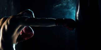 La UFC y las MMA: una historia de éxito como liga deportiva