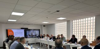 El Gobierno reúne a los cabildos para recoger propuestas al anteproyecto de Ley del Uso Turístico de Viviendas