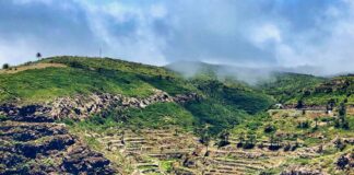 La Gomera será punto de encuentro nacional para abordar la agroecología desde el ámbito municipal