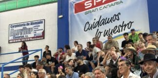Mato pide un esfuerzo conjunto de las instituciones públicas para que la Lucha Canaria se beneficie de las ayudas europeas