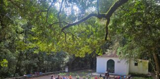 El Cabildo apertura una nueva edición del Campamento de Verano de El Cedro