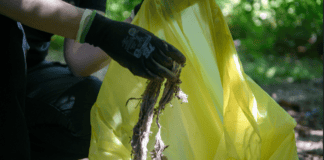 El movimiento LIBERA contra la basuraleza retira dos toneladas de residuos de 25 espacios naturales de Canarias