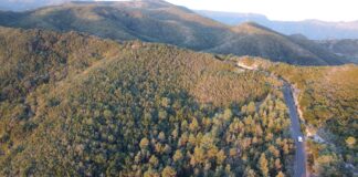 El Cabildo acuerda la inversión plurianual para adecuar la vía entre Juego de Bolas y Laguna Grande