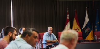 Cabildo y ayuntamientos coordinan actuaciones de eliminación de la caña común en los barrancos de Hermigua y Valle Gran Rey