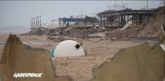 La costa canaria en riesgo: empezaremos a perder playas en los próximos diez años según Greenpeace