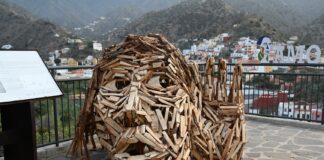 Atlántico Sonoro escoge la madera y los anillos de los árboles como imagen para celebrar su veinte aniversario
