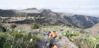 El Cabildo aprueba un proyecto para la mejora paisajística y medioambiental de la isla